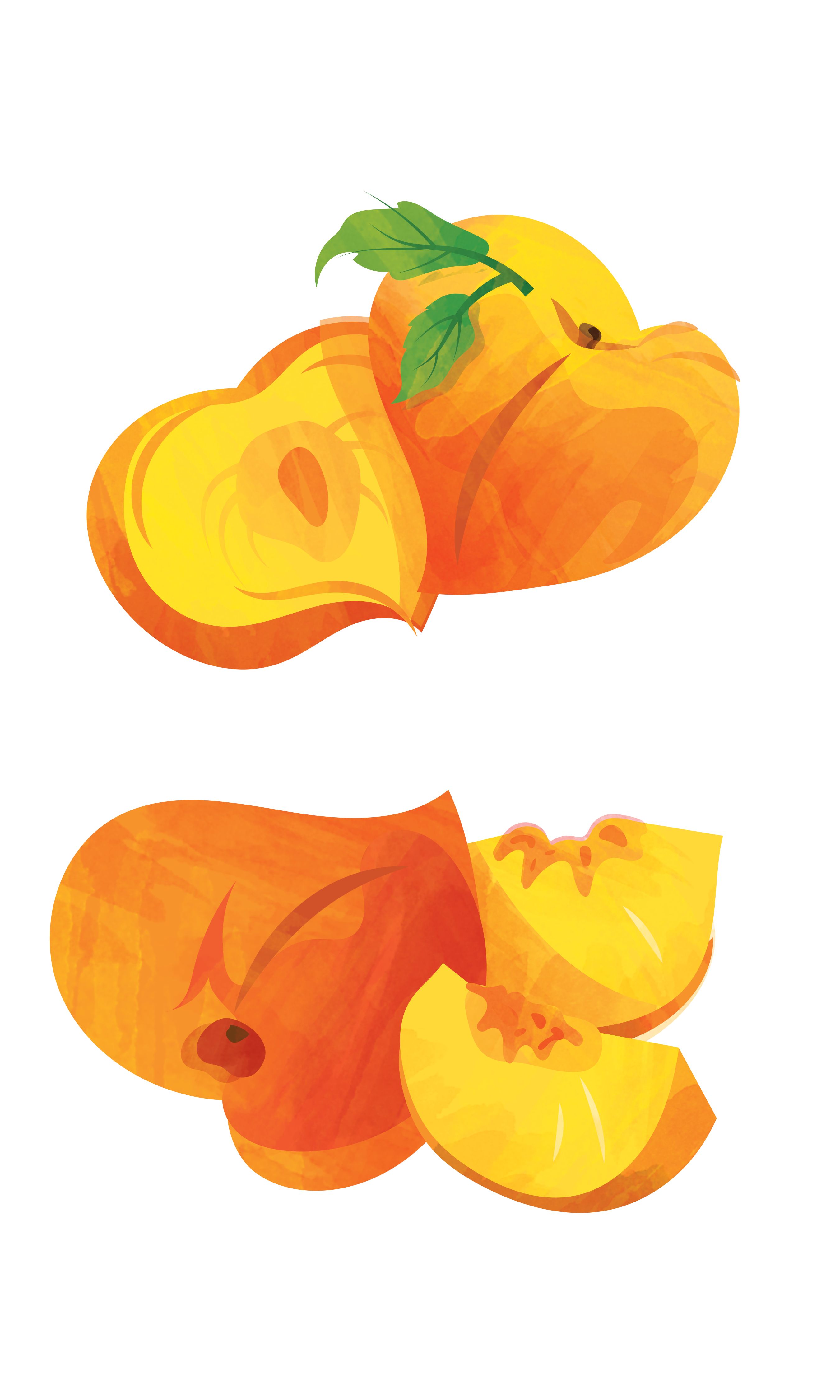 Torani - Puremade Syrup Peach