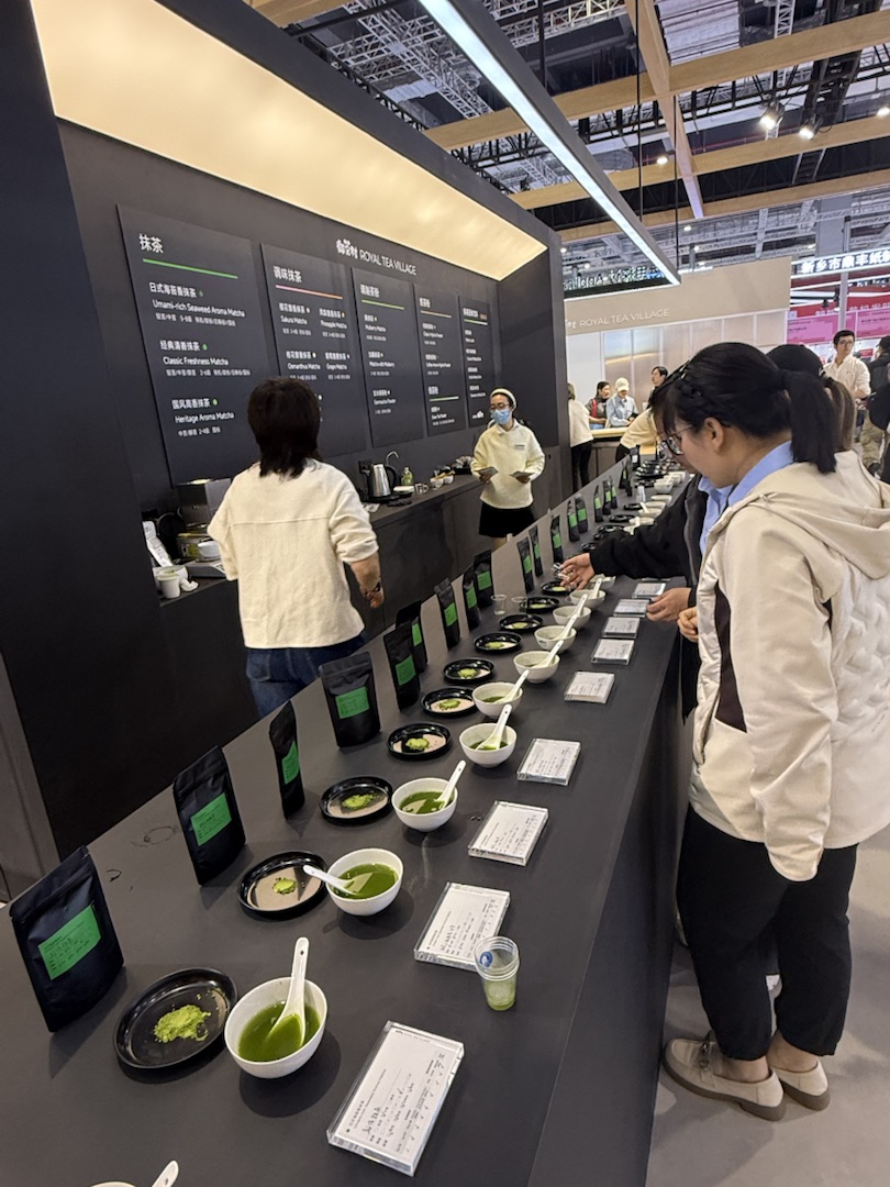 Eindrücke Teeanbau Felder mit Grüntee China Testing