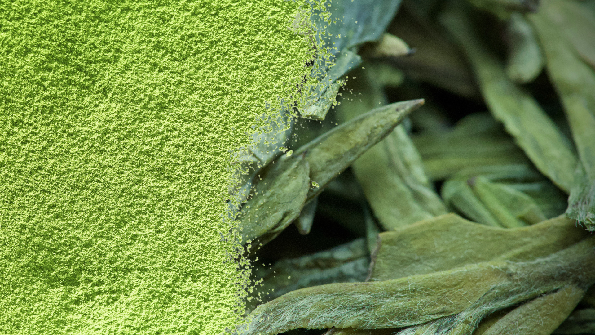Matcha Pulver über ganzen Matcha Blättern