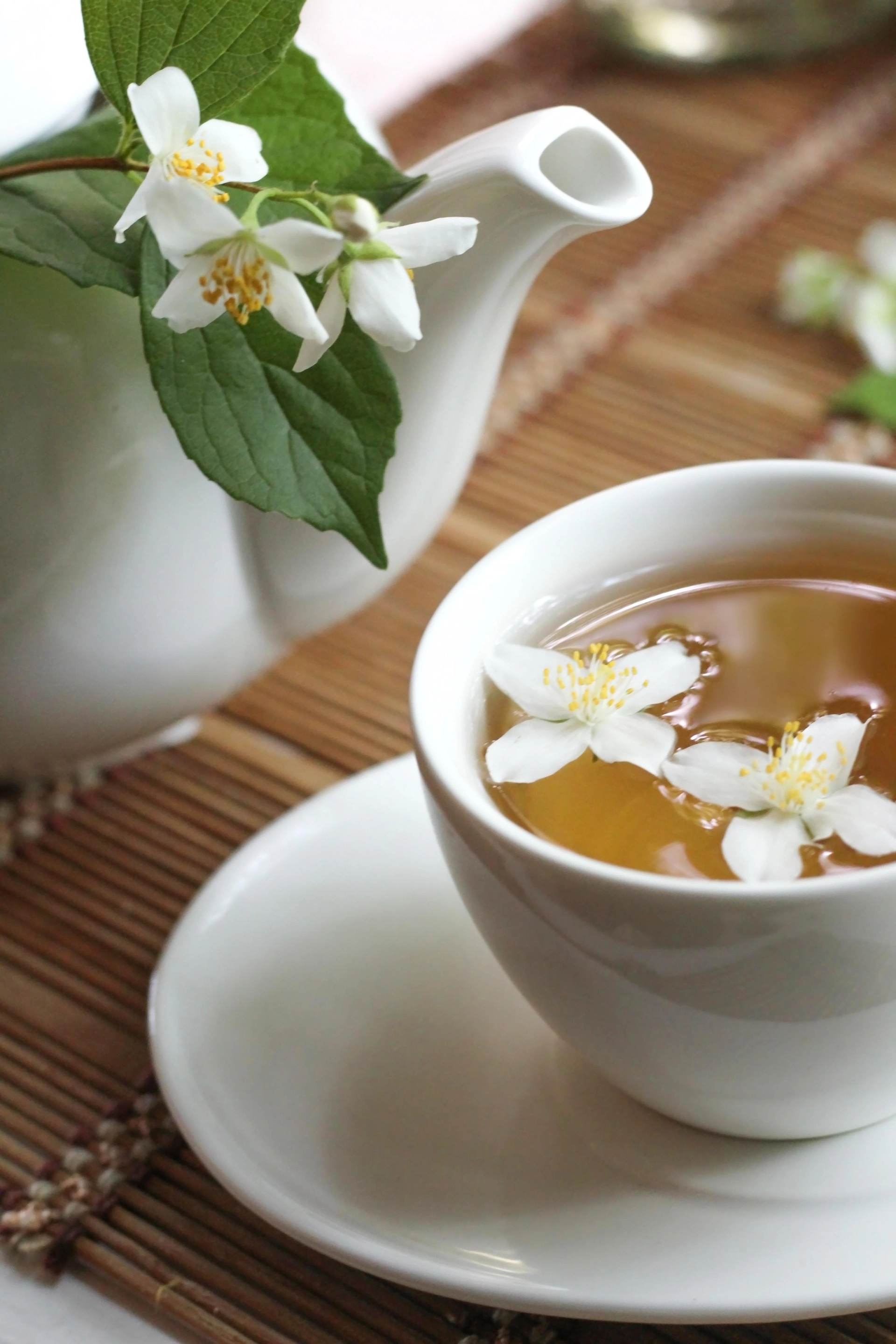 Jasmintee mit echten Jasminblüten in einer Tasse zum genießen