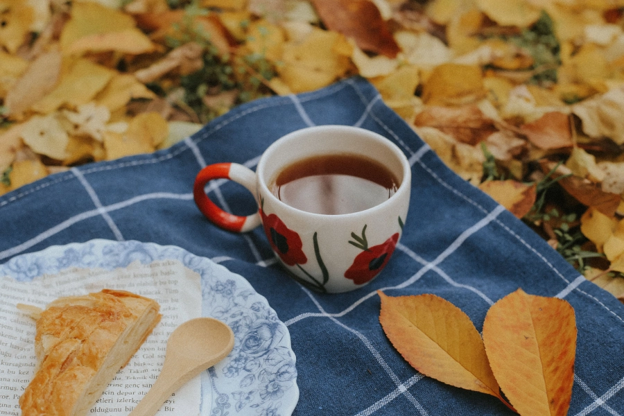 Picknickdecke mit einer Teetasse und einem Stück Apfelkuchen auf einem herbstlichen Blätterboden