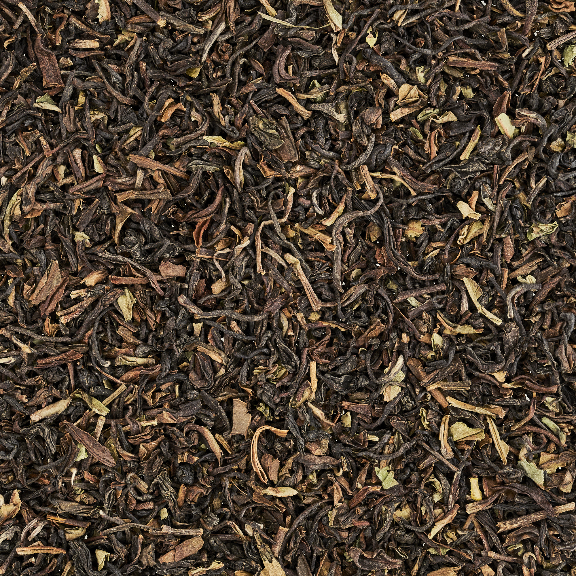 BIO Darjeeling „Fritjof“ No. 01 - Beutel
