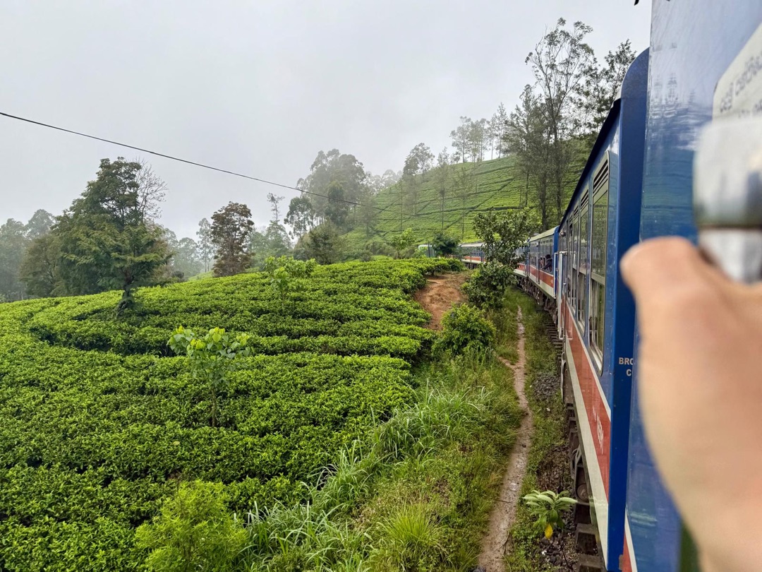 Eindrücke Teeanbau Tee-Ernte Schwarztee Sri Lanka