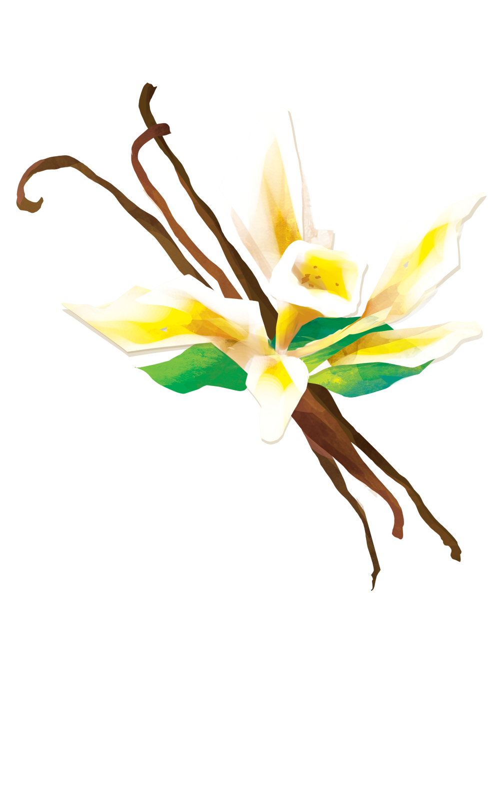 Torani - Puremade Syrup Vanilla