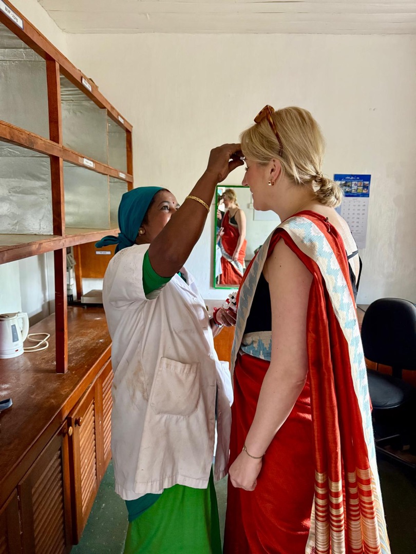 Eindrücke Teeanbau Tee-Ernte Schwarztee Sri Lanka