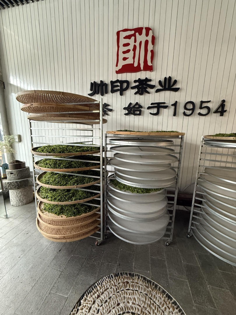 Eindrücke Teeanbau mit Grüntee China Ernte Sortierung Trocknung