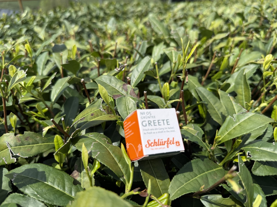 BIO Grüntee "Greete" No. 05 - Tüüte