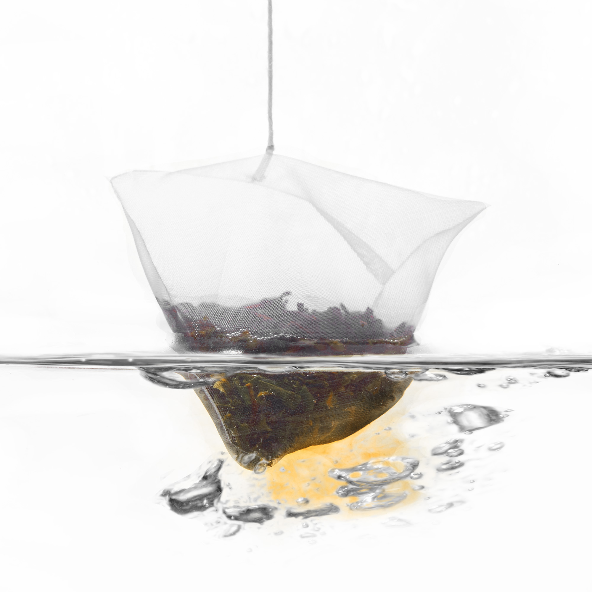 Darjeeling "Fritjof" No. 01 - Tüüte
