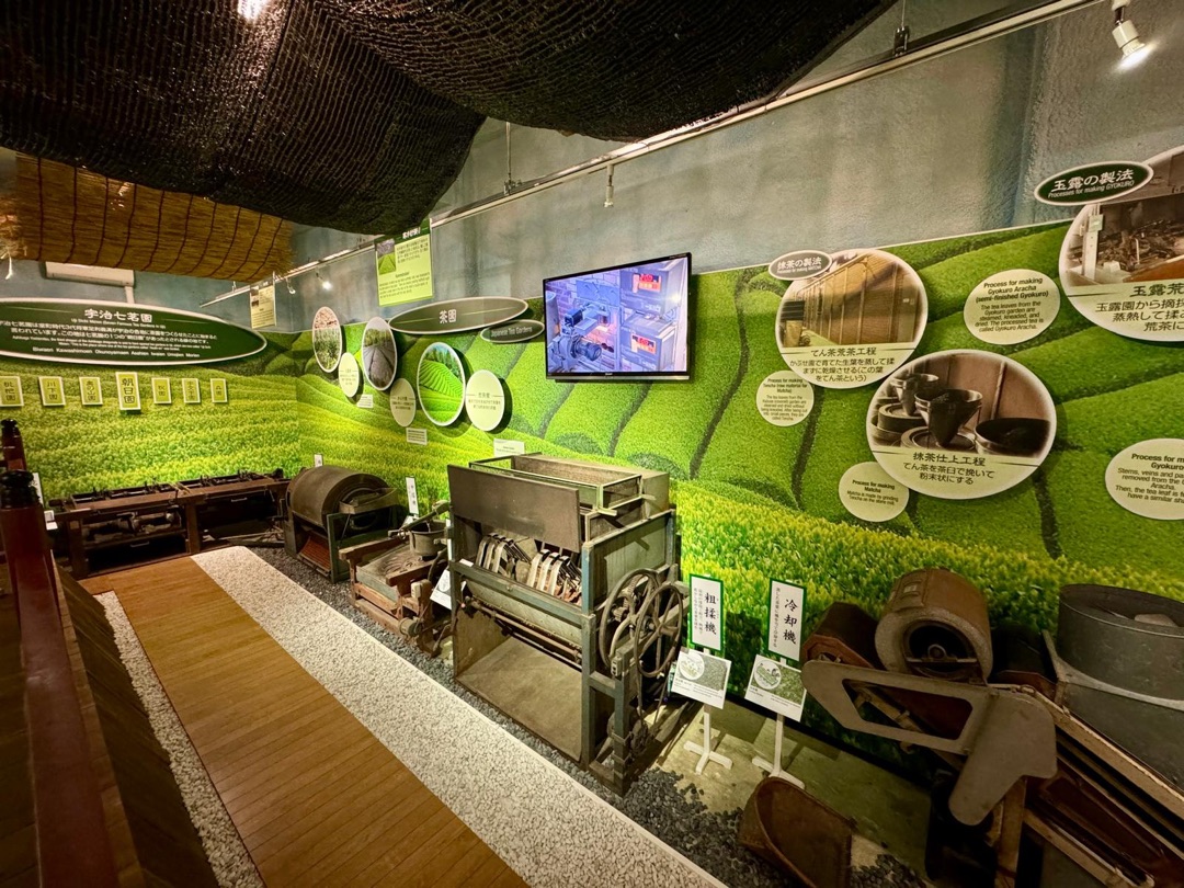 Eindrücke Teeanbau Tee-Ernte Matcha Japan