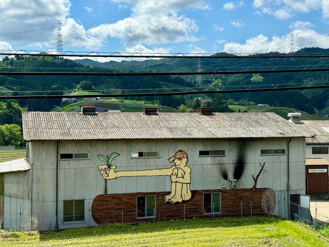 Eindrücke Teeanbau Tee-Ernte Matcha Japan