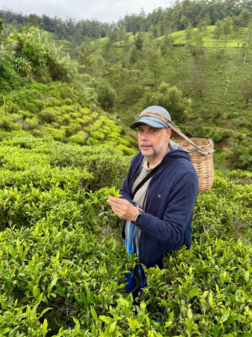 Eindrücke Teeanbau Tee-Ernte Schwarztee Sri Lanka