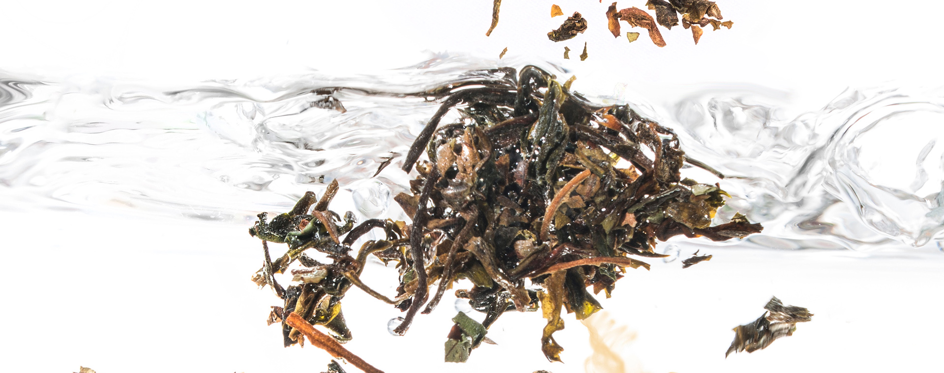 Darjeeling „Fritjof“ No. 01 - Beutel