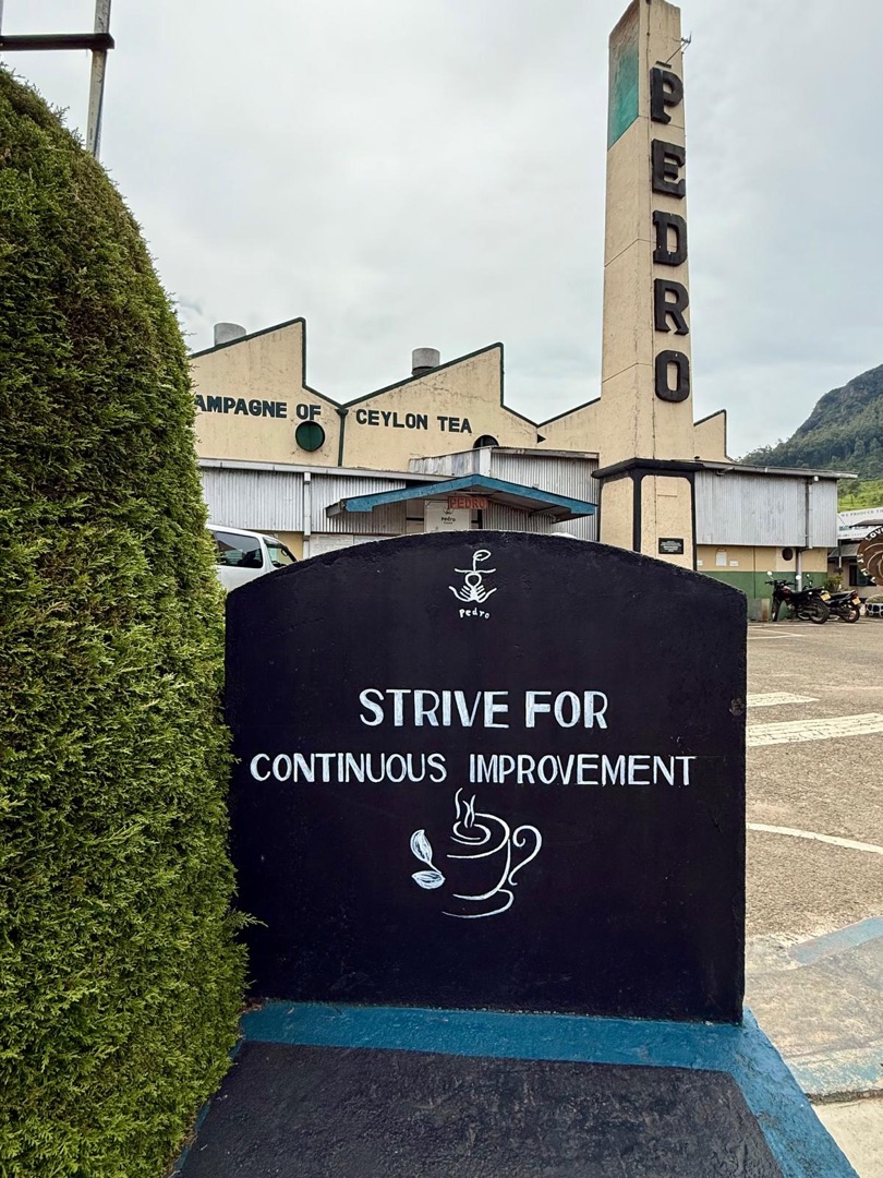 Eindrücke Teeanbau Tee-Ernte Schwarztee Sri Lanka